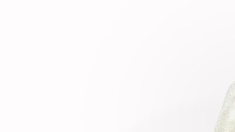 El atún es un alimento saludable, sin embargo, hay que elegir bien para evitar niveles de mercurio.