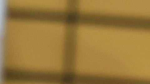 Bad Bunny se encuentra en México ultimando detalles para los conciertos de su “Debí Tirar Más Fotos World Tour 2025”.