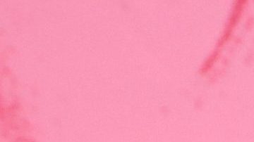 Ceriani también aseguró que el galán de Cazzu estaría empeñado en conquistar a la cantante.