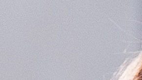 Céline Dion sorprendió a sus seguidores con su sentido del humor y caracterización.