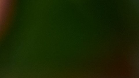 ChatGPT actúa con límites, e insistir en este tipo de peticiones puede activar medidas de seguridad.