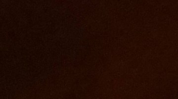 cheque-de-estimulo-donald-trump