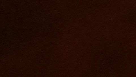 cheque-de-estimulo-donald-trump