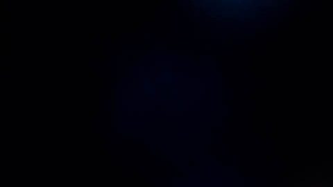 Javier Hernández "Chicharito" falla tiro penal.