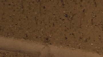 chipotle-burritos-regala-burritos