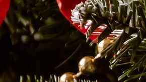 Esta es una de las épocas del año donde la creatividad es la protagonista,