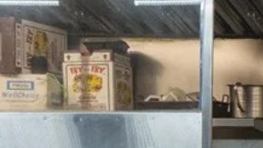 Sabor y Resiliencia en cada esquina: La comida callejera de Nueva York, un tributo al esfuerzo y el alma inmigrante detrás de cada tamal y hot dog.