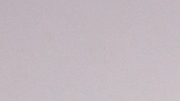 costco-politica-poco-conocida