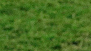 Cristiano Ronaldo (derecha) estrecha la mano del estadounidense Clint Dempsey y del portero Tim Howard (izquierda).