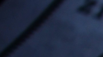 cuentas-trump-1000-dolares-por-nino