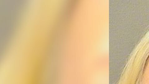 La sospechosa enfrenta un cargo de asesinato en primer grado.