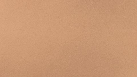 dollar-general-cobra-de-mas