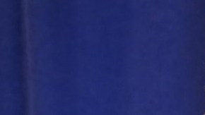 Donald Trump y Claudia Sheinbaum se reunieron por primera vez