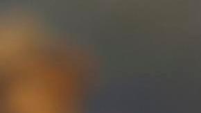 Donald Trump defiende el ataque en Nigeria contra el Estado Islámico: “Advertí que se desataría un infierno”