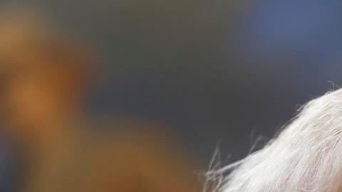 Donald Trump defiende el ataque en Nigeria contra el Estado Islámico: “Advertí que se desataría un infierno”