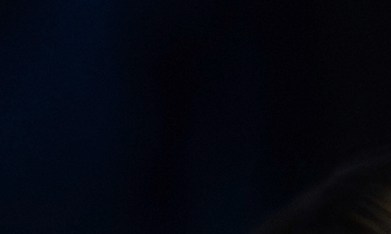 La Casa Blanca publica detalles de la resonancia magnética del corazón y abdomen de Trump