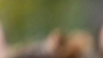 Fotografía de archivo del 25 de agosto de 2025 que muestra a Kilmar Abrego García hablando durante una concentración antes de presentarse en la oficina local del ICE en Baltimore, Maryland (EE. UU.).