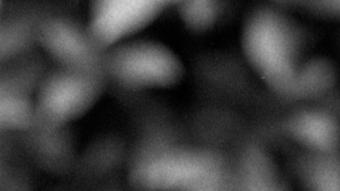 Gil Gerard es recordado por encarnar al héroe de la serie 'Buck Rogers in the 25th Century'.