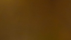 La mujer tiene como mascota un golden retriever