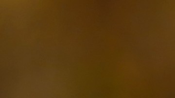 La mujer tiene como mascota un golden retriever