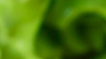 Con sencillos ingredientes y una buena técnica puedes preparar un delicioso guiso de carne.