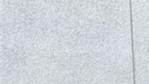 Foto difundida por ICE de uno de los conductores detenidos en California tras operativo.