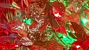 Brian Romero en el lanzamiento de su campaña por la Asamblea