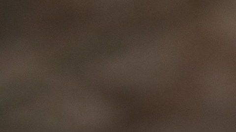 jubilados-razones-sin-dinero