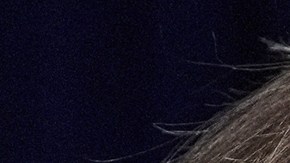 Kathy Hochul exige a Con Edison un plan urgente para evitar apagones en Nueva York