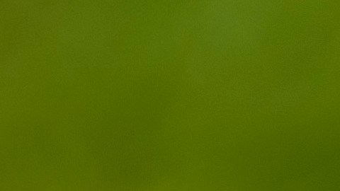 loteria-maryland-100-mil-premio-regalo