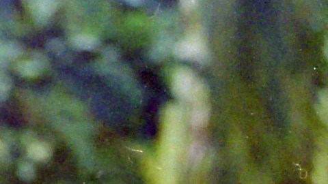 El cantante de “La Incondicional” publicó en su cuenta de X una sola imagen editada donde aparece junto a la artista británica.