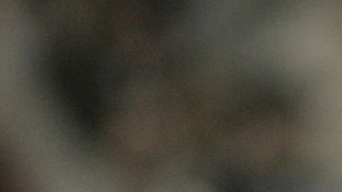 Carlos Delgado, de los Mets de Nueva York.