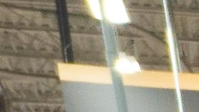 Muchas de las piezas y adornos que vende Home Depot están equipados con luces LED de bajo consumo.