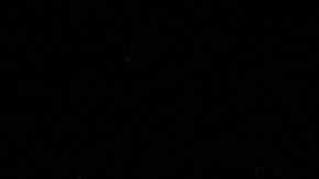 Novak Djokovic, tenista serbio.