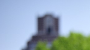 Nueva York reducirá el límite de velocidad en Central Park para ciclistas y vehículos