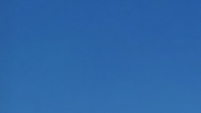 Nueva York y Nueva Jersey lideran el éxodo interno en Estados Unidos: ¿por qué?