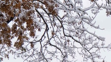 ¿Cuánto pagan por palear nieve en Nueva York? La ciudad abre vacantes tras las primeras nevadas