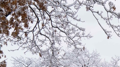 ¿Cuánto pagan por palear nieve en Nueva York? La ciudad abre vacantes tras las primeras nevadas