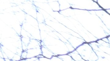 El programa de la Sección 8 no solo hace que la vivienda sea más asequible, sino que también posibilita la construcción de nuevas viviendas.