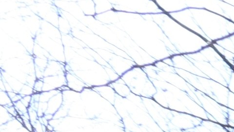 El programa de la Sección 8 no solo hace que la vivienda sea más asequible, sino que también posibilita la construcción de nuevas viviendas.