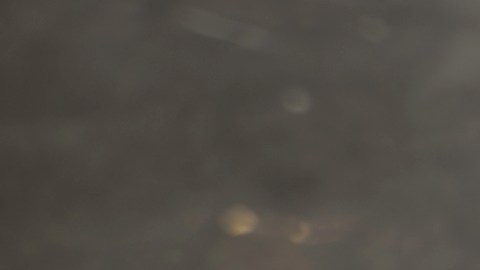 La masa madre es aliada de la salud: mejora la digestión y controla los niveles de azúcar en sangre.