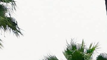 Paramount Skydance ofreció financiar su propuesta completamente en efectivo, mientras que la de Netflix contempla una parte del pago en acciones.