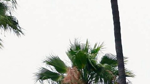 Paramount Skydance ofreció financiar su propuesta completamente en efectivo, mientras que la de Netflix contempla una parte del pago en acciones.