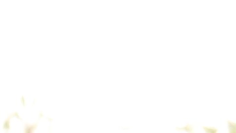 Pat Finn falleció el lunes 22 de diciembre a los 60 años.