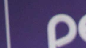 Kenia Os y Peso Pluma se muestran más enamorados y cercanos que nunca.