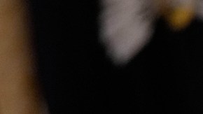 Pete Hegseth sobre ataques en el Caribe: Trump puede ordenar el uso de la fuerza como le parezca