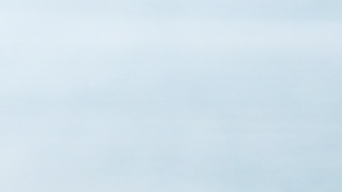 El queso real, la salsa y la masa crujiente hacen la diferencia para que las pizzas congeladas sean tan deliciosas como la de los restaurantes.