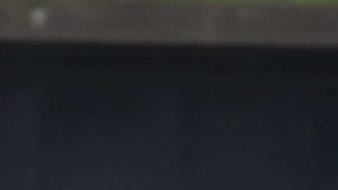 Policía británica. Imagen referencial.