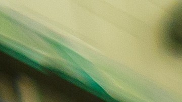 powerball-1-millon-abuela-amuleto-illinois