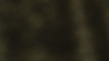 Un nombre de red seguro es aquel que no revela información de interés para terceros, sugieren expertos.